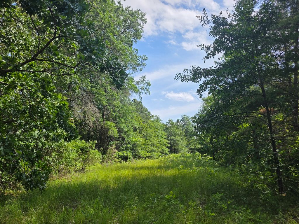 Image 55 of property listing at 2878 Lazy Acre Road, Odin, IL 62870