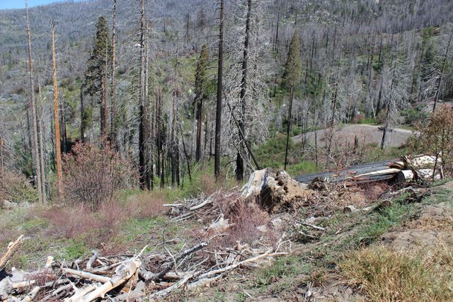 52263 Ponderosa Drive, Cedar Slope, CA 93265