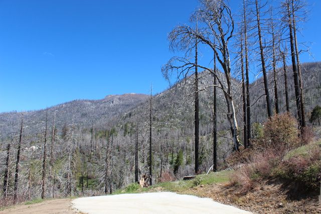 52263 Ponderosa Drive, Cedar Slope, CA 93265