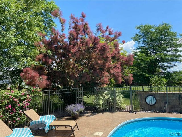 8735 Alizarin Avenue, Cicero, NY 13039