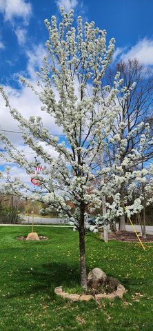 8471 45th Street SE, Ada, MI 49301