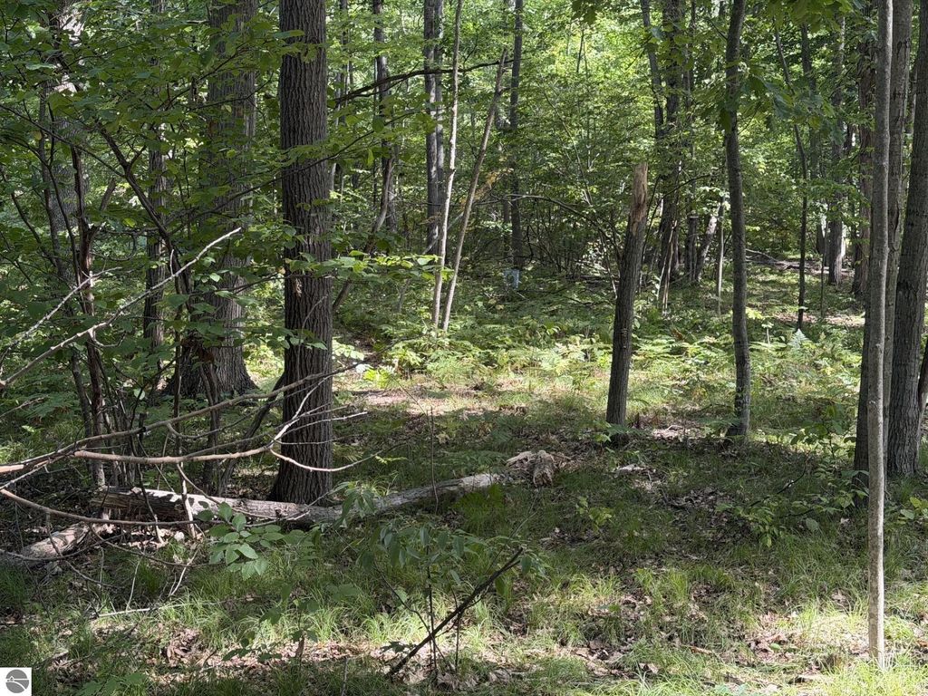 Image 1 of property listing at 7785 Arrowhead Drive, Weidman, MI 48893