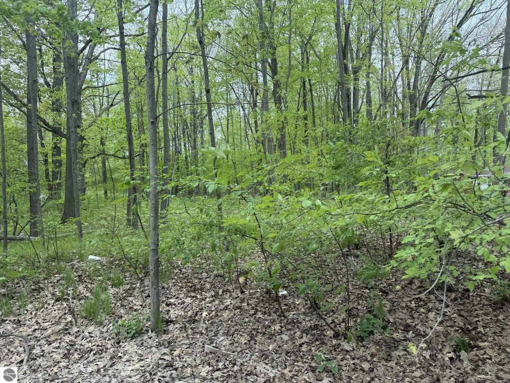 Image 2 of property listing at 7785 Arrowhead Drive, Weidman, MI 48893