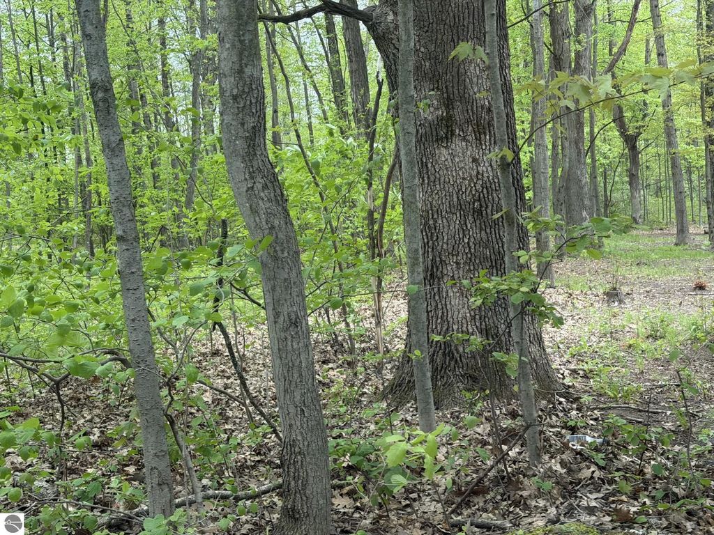 Image 3 of property listing at 7785 Arrowhead Drive, Weidman, MI 48893