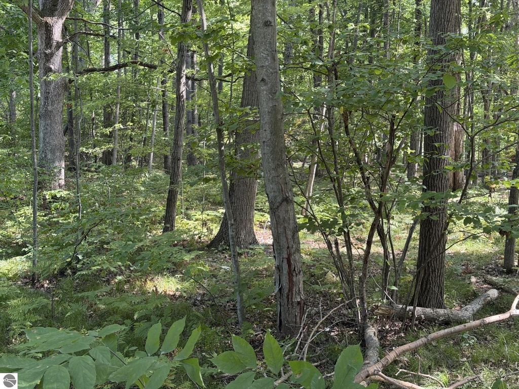 Image 5 of property listing at 7785 Arrowhead Drive, Weidman, MI 48893