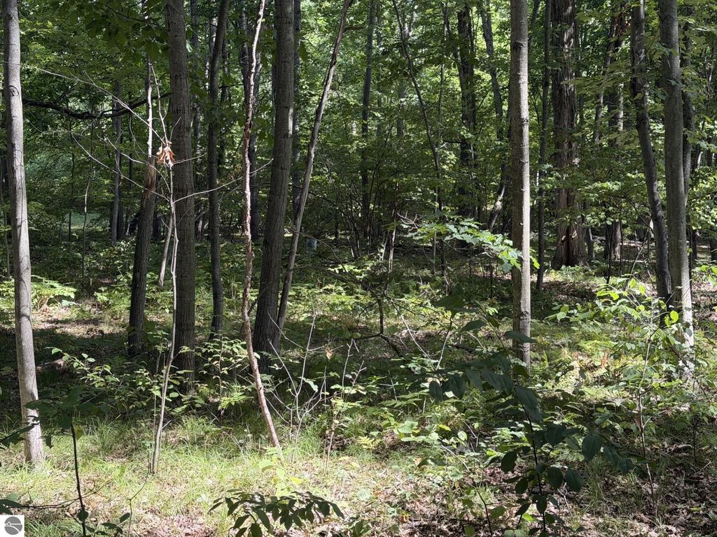 Image 6 of property listing at 7785 Arrowhead Drive, Weidman, MI 48893