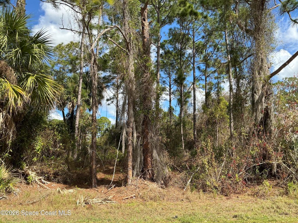 179 Bali Street SE, Palm Bay, FL 32909