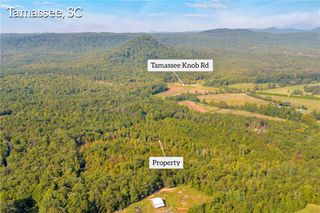 00 Walking Tall Ridge, Tamassee, SC 29686