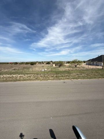 205 Gilmore Court, Lipan, TX 76462