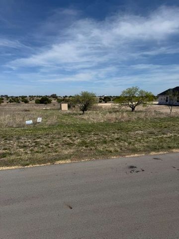 205 Gilmore Court, Lipan, TX 76462