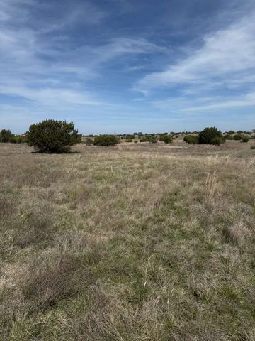 205 Gilmore Court, Lipan, TX 76462