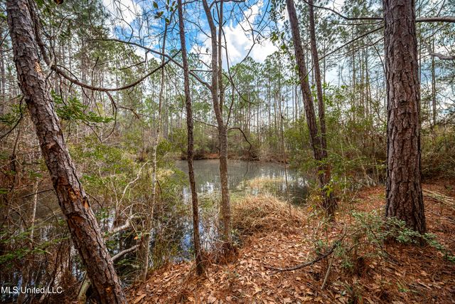 13162 Hudson Krohn Road, Biloxi, MS 39532