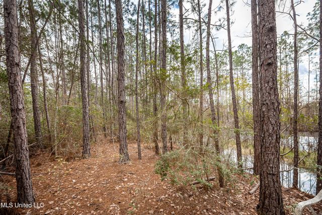 13162 Hudson Krohn Road, Biloxi, MS 39532