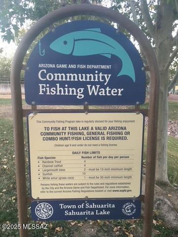 14235 S Via Del Farolito, Sahuarita, AZ 85629