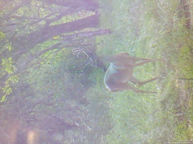 3292 Fm 1784, Pleasanton, TX 78064