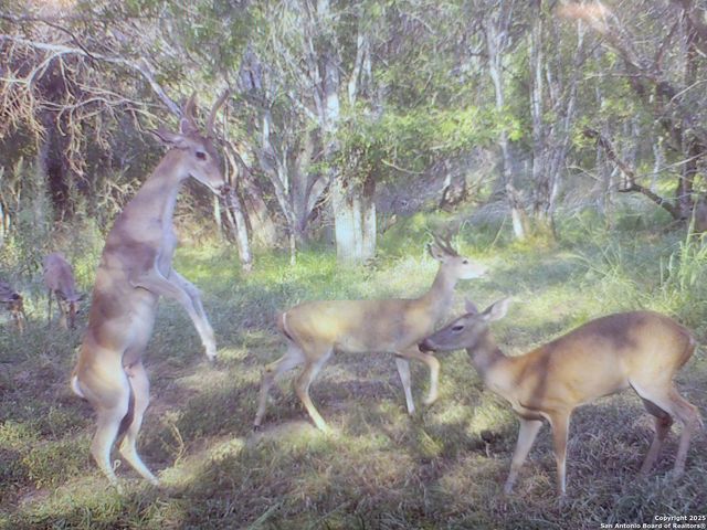 3292 Fm 1784, Pleasanton, TX 78064