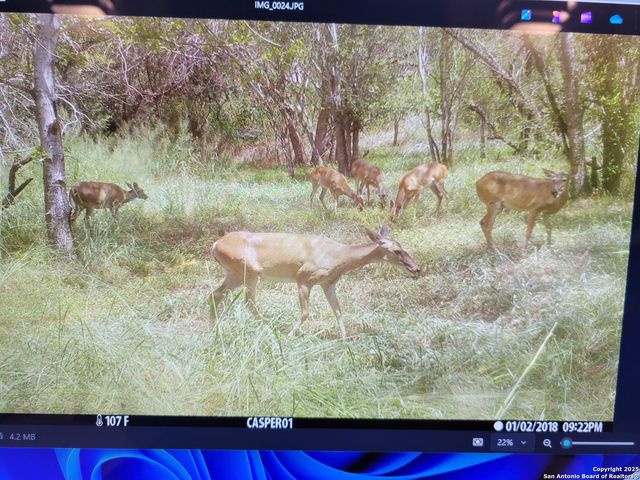 3292 Fm 1784, Pleasanton, TX 78064