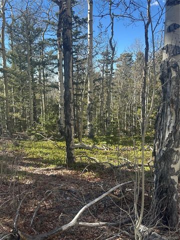 Lot 6744 Starkweather Road, San Luis, CO 81152