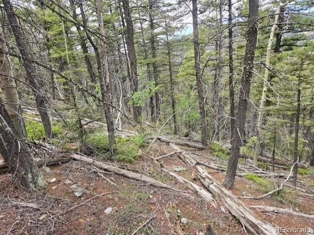 Lot 6744 Starkweather Road, San Luis, CO 81152
