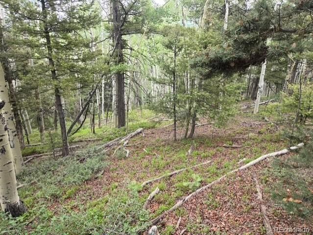 Lot 6744 Starkweather Road, San Luis, CO 81152