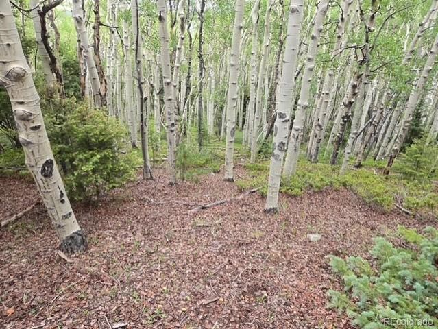 Lot 6744 Starkweather Road, San Luis, CO 81152
