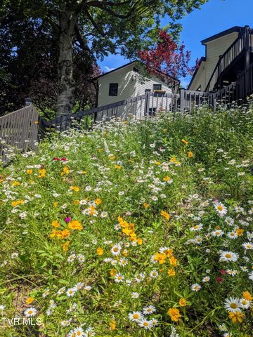 487 Lakeshore Road, Bluff City, TN 37618