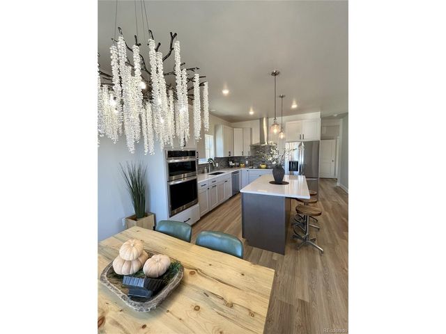 1309 Grand Review Dr, Leadville, CO 80461