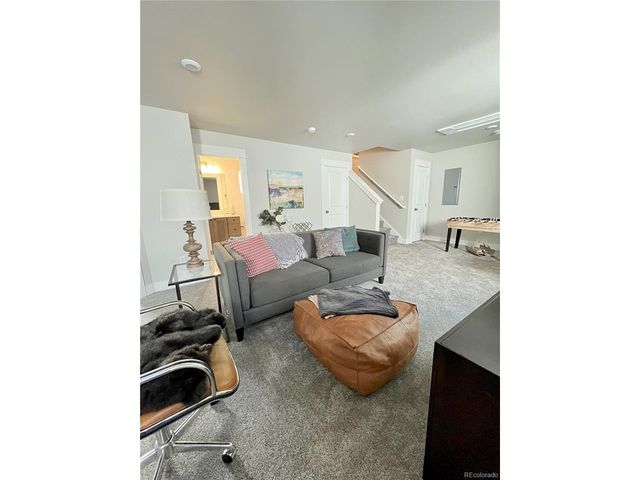 1309 Grand Review Dr, Leadville, CO 80461