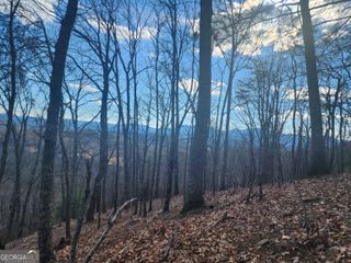 0 Trackrock Gap Road, Blairsville, GA 30514