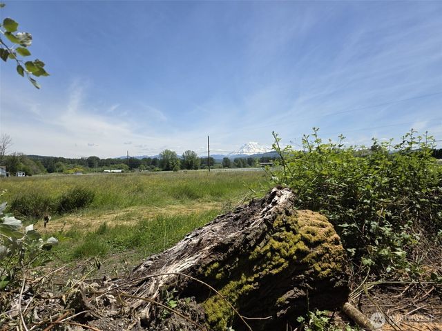 14717 168th Street E, Orting, WA 98360