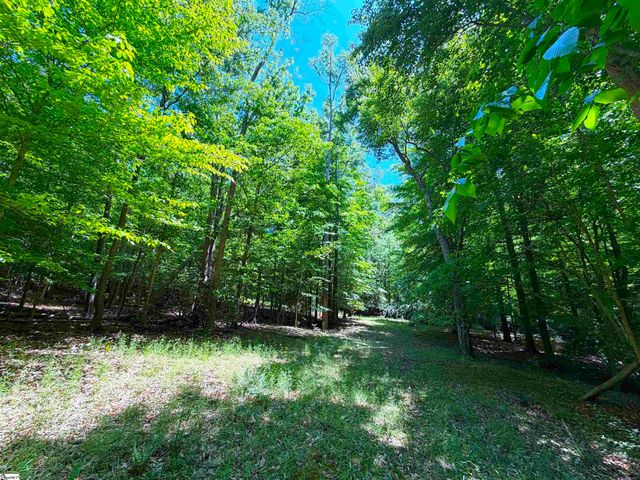 1 Luna Lane, Central, SC 29630