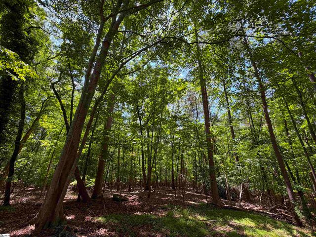 1 Luna Lane, Central, SC 29630