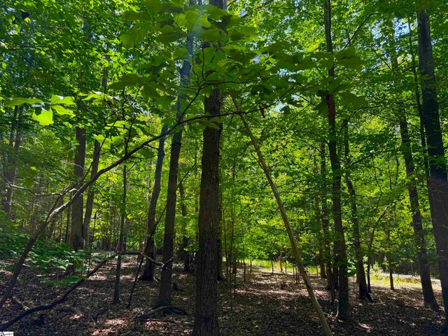 1 Luna Lane, Central, SC 29630