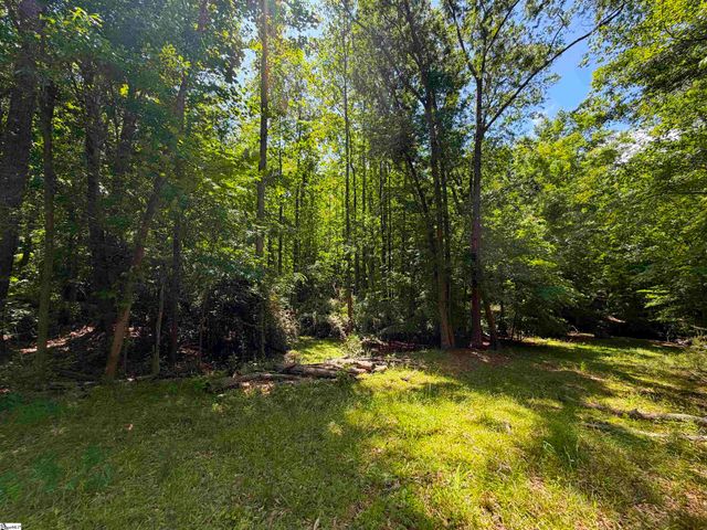 1 Luna Lane, Central, SC 29630