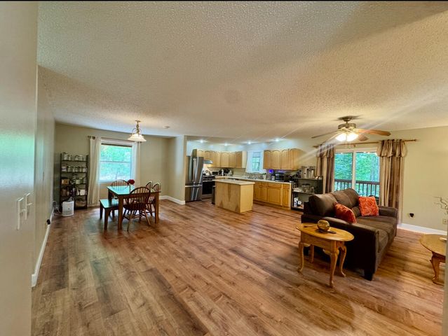 557 Grayce Lane, Hiawassee, GA 30546