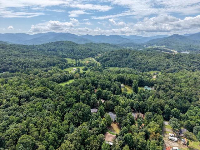 557 Grayce Lane, Hiawassee, GA 30546
