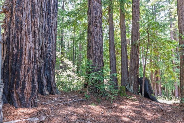 46321 Redwood Way, Gualala, CA 95445