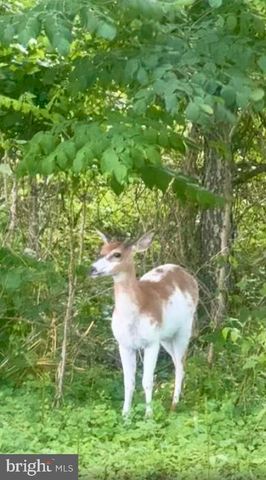 32524 ROXANA RD, Frankford, DE 19945