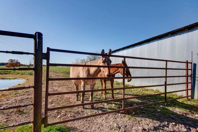 17250 State Highway Z, Verona, MO 65769