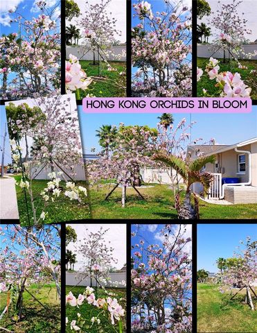 3619 CORSAIR COURT, New Port Richey, FL 34652