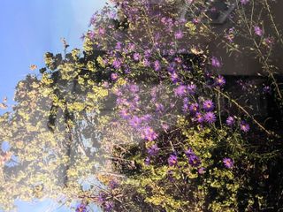 XX Findlay Street NE, Rio Rancho, NM 87144