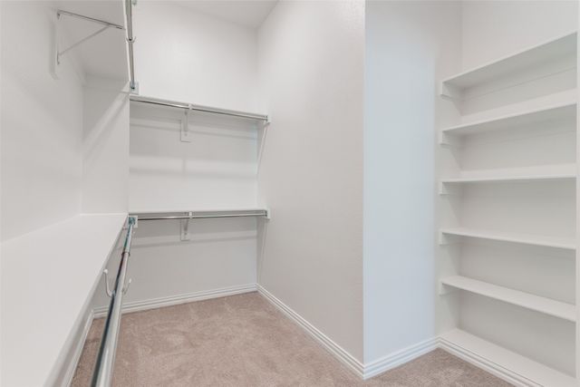 15683 Palmwood Road, Frisco, TX 75033