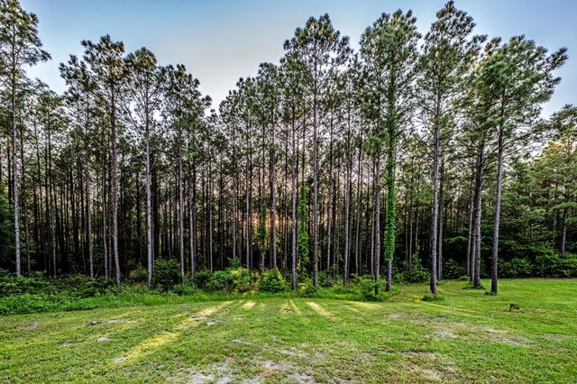 1515A Fm 247, Huntsville, TX 77320