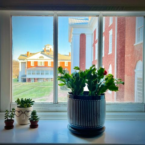 101 W Village Dr Apt 101, Staunton, VA 24401