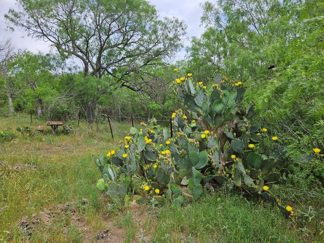 302 San Marcos Highway, Luling, TX 78648