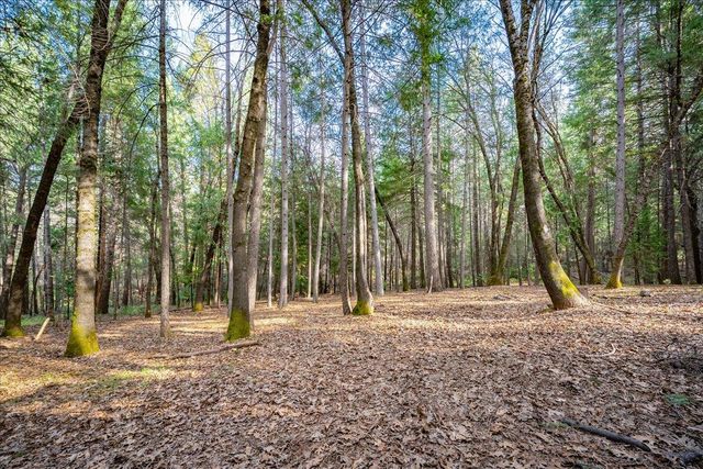 6035 Acorn Ct, Foresthill, CA 95631