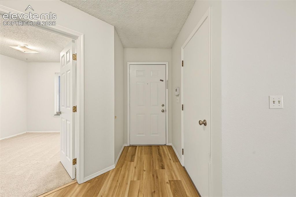 8430 Sassafras Drive, Colorado Springs, CO 80920 — photo 4