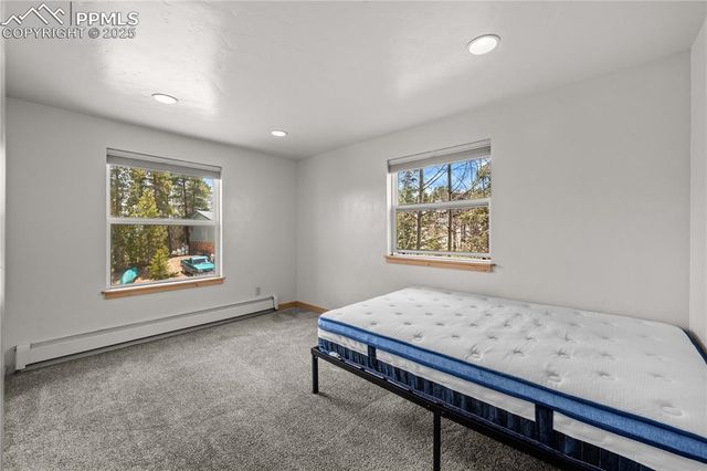 1803 Ridgeview Drive, Leadville, CO 80461