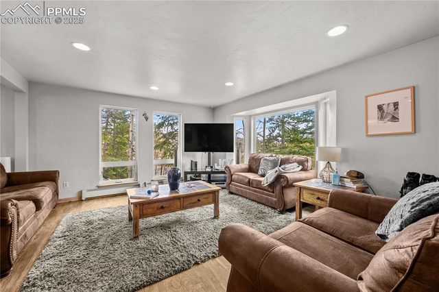 1803 Ridgeview Drive, Leadville, CO 80461