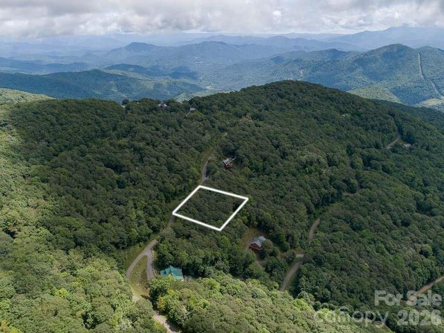 366 Birch Springs Lane 366, Mars Hill, NC 28754